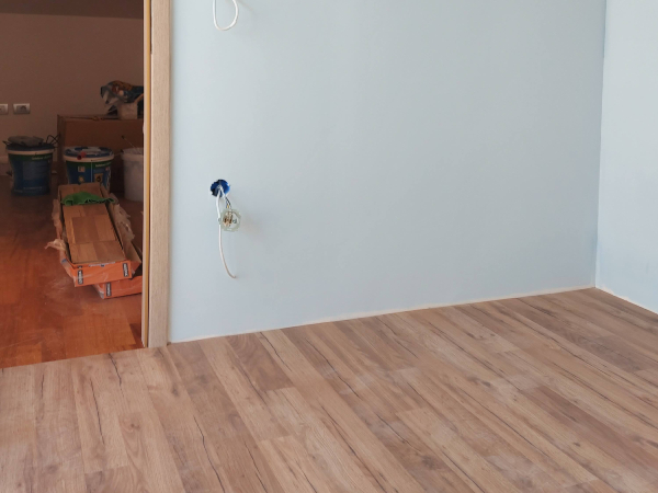 Prenova hiše pes pitbull spi na delovišču